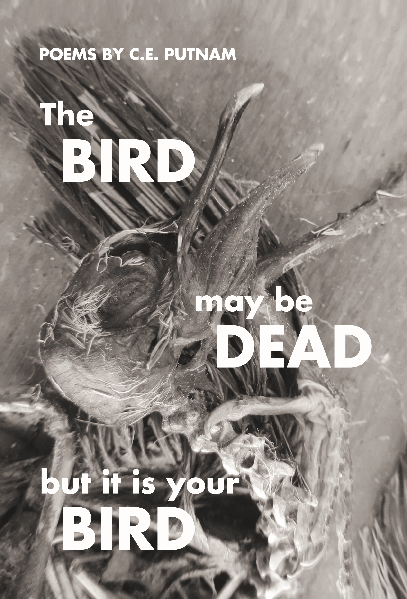 The Bird May Be Dead